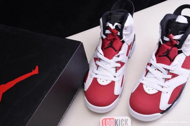 Rep 6 'CARMINE' JORDAN RETRO CT8529-106 2021 AIR 0825